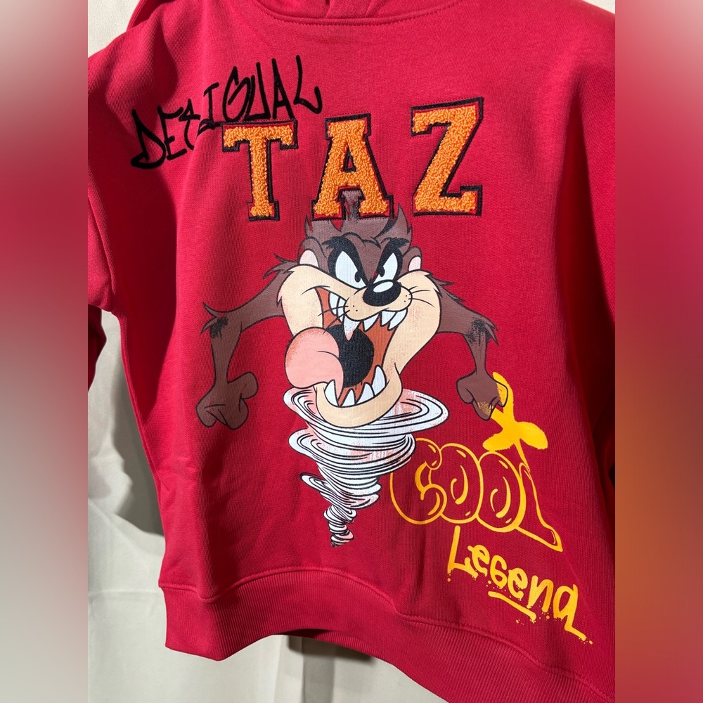 🔥NWT Desigual x Looney Tunes Hoodie